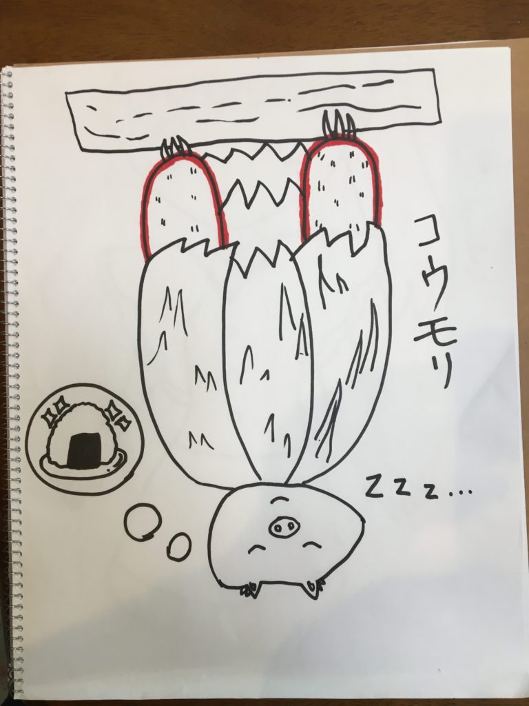 眠っているコウモリ