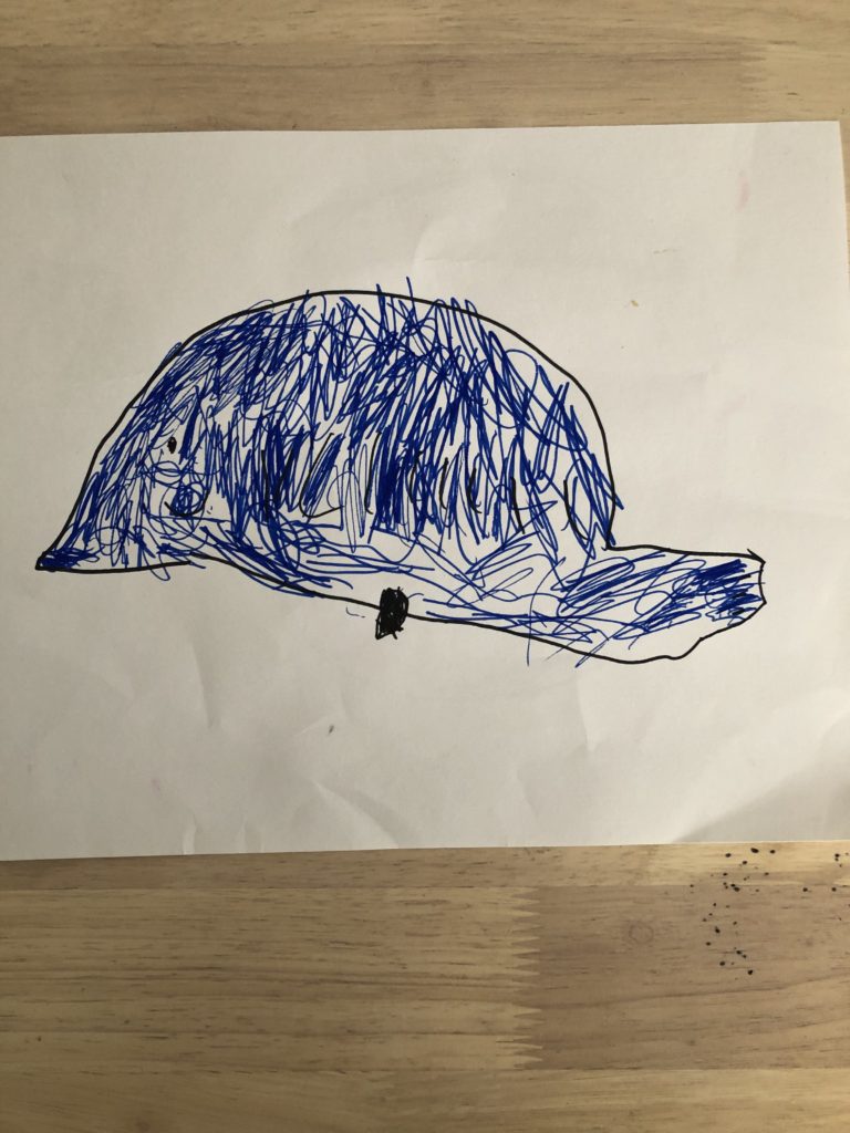 zoomのレッスンで描いた絵