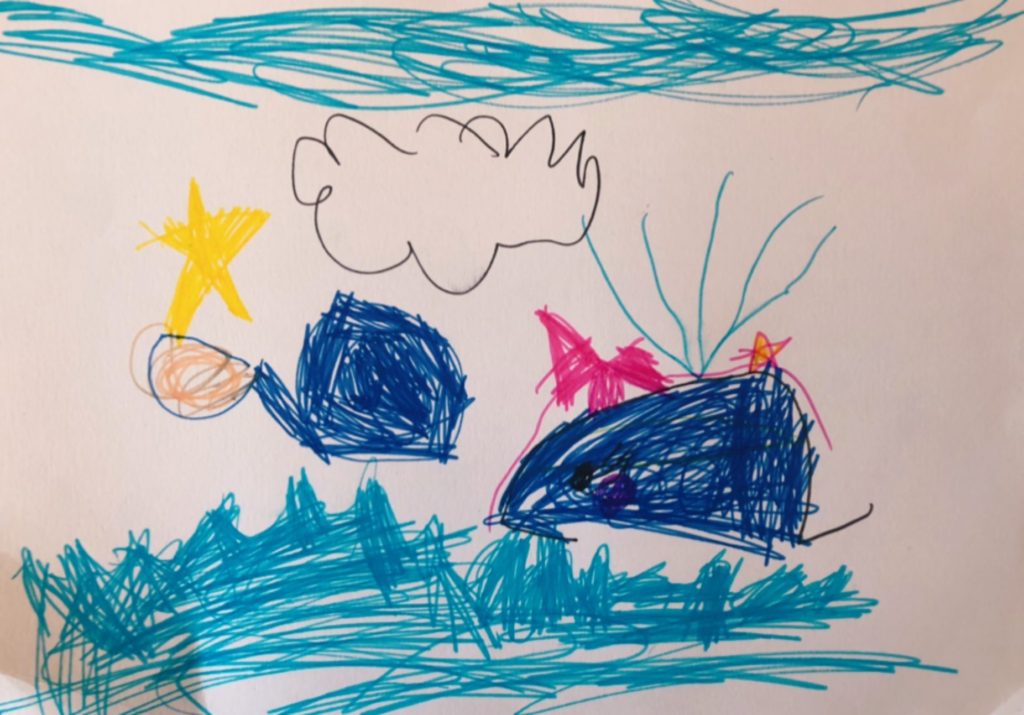 リボンのくじら