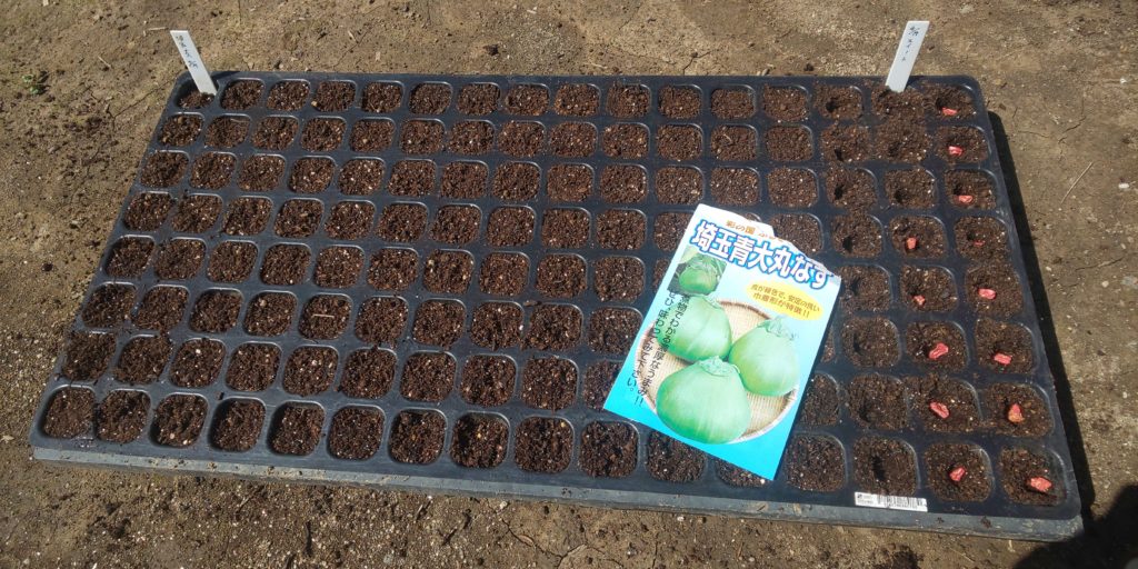 埼玉の郷土野菜 埼玉丸ナス