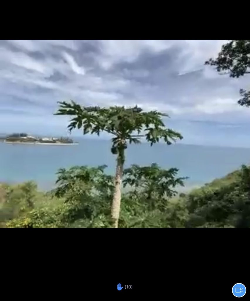 ニューカレドニアに行った！つもり画像！