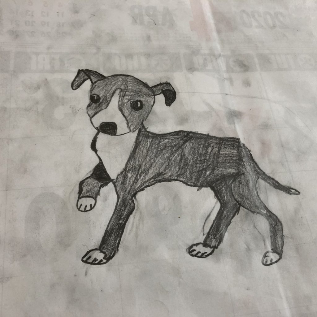 ｲﾀﾘｱﾝｸﾞﾚｰﾊｳﾝﾄﾞ