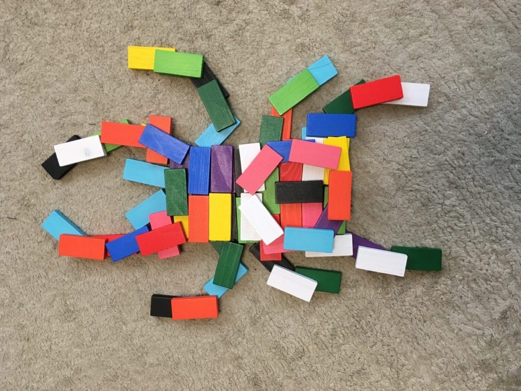 ドミノクワガタ