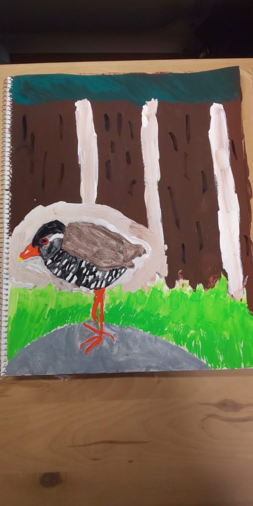 ヤンバルクイナ