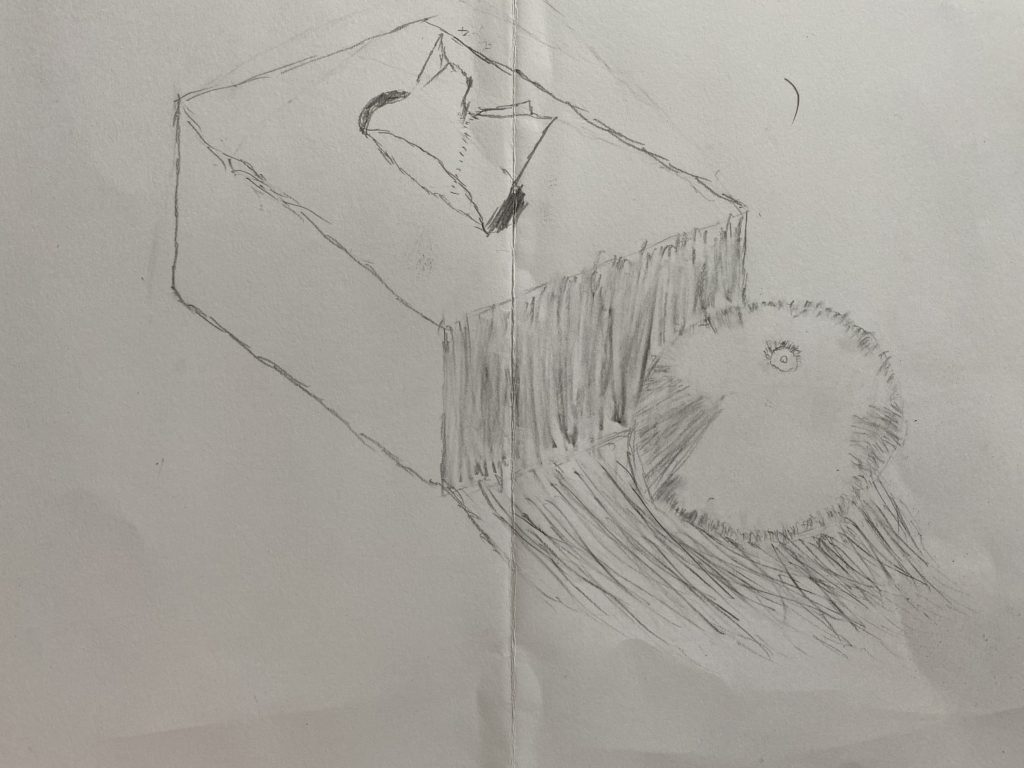 ティッシュとみかん