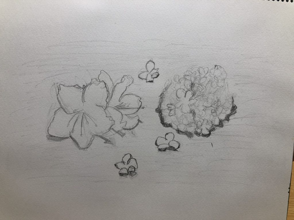 静物画 花 途中