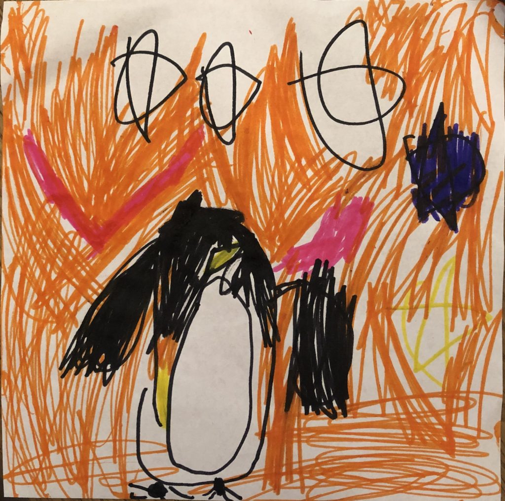 コウテイペンギン