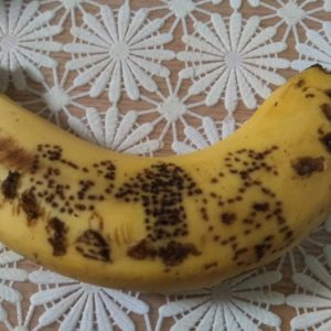 バナナアート