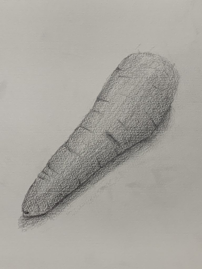 デッサン　zoom授業