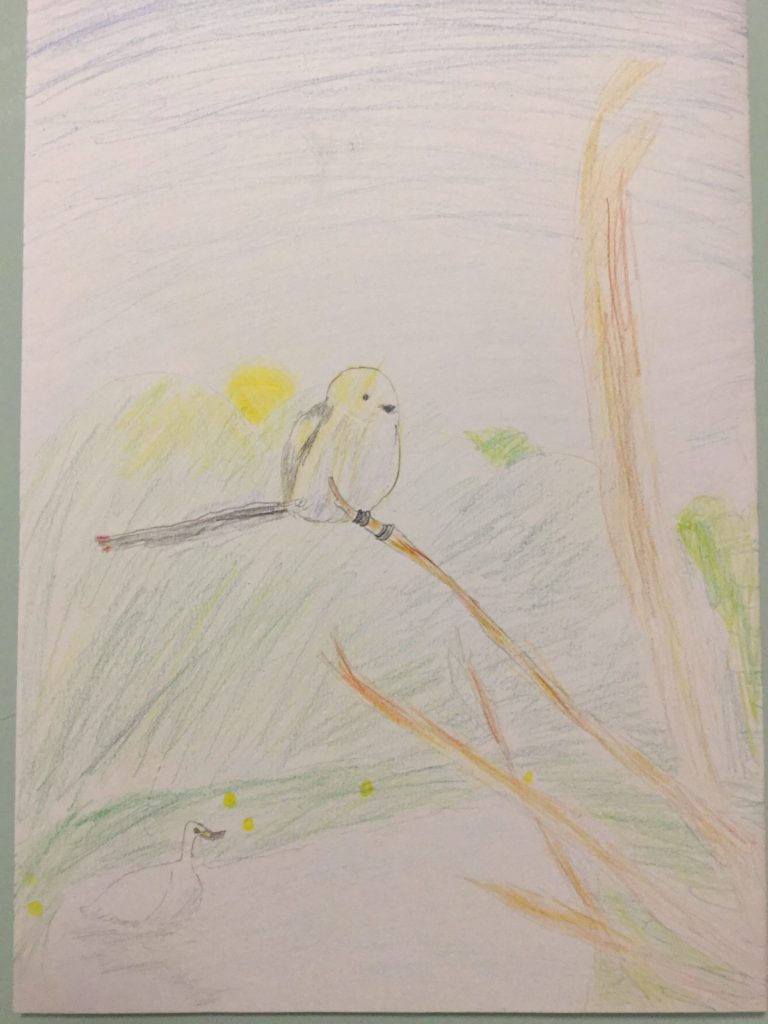 北海道の夜明け