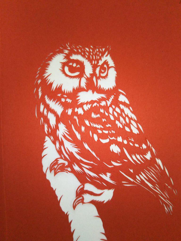 母のﾌｸﾛｳ🦉