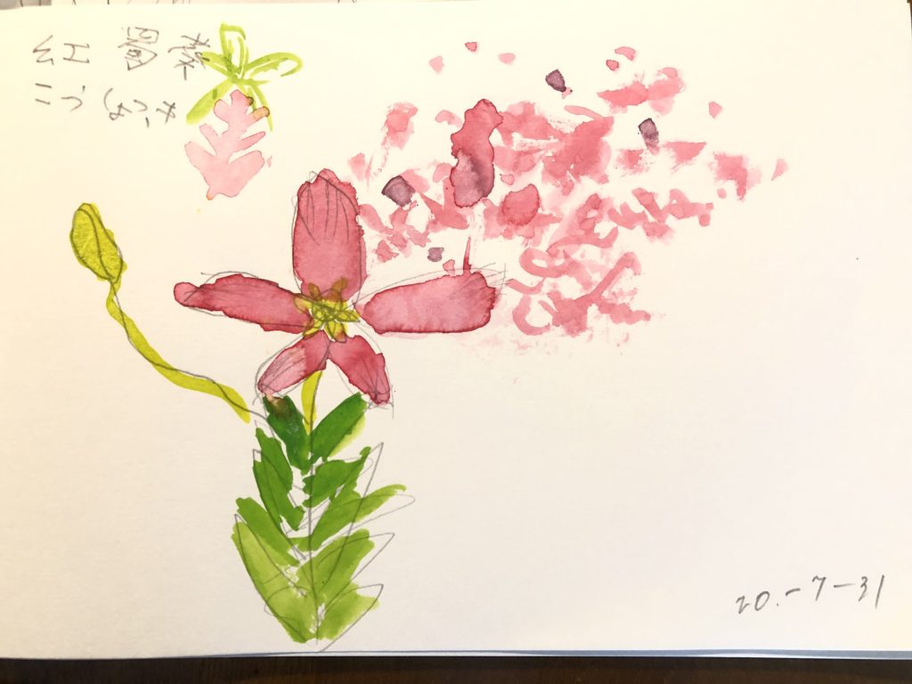 お散歩スケッチ