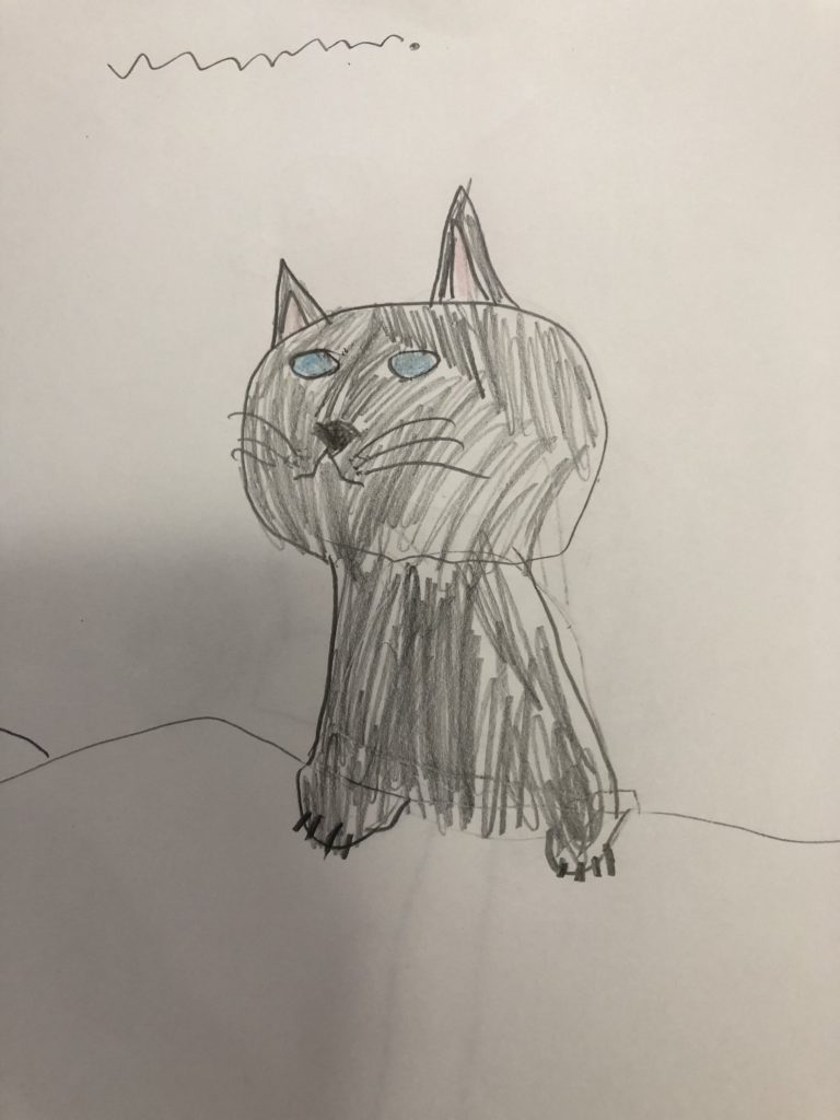 窓の外を見る猫