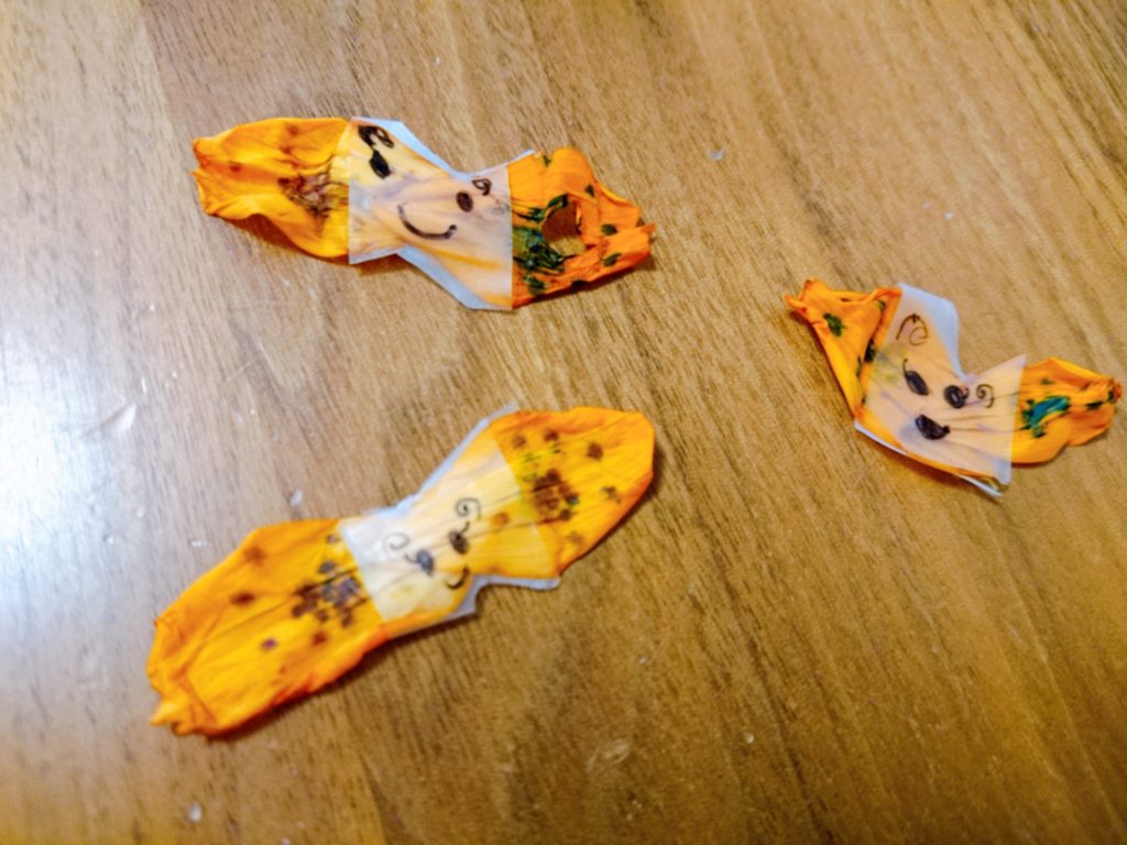 花になったちょうちょ