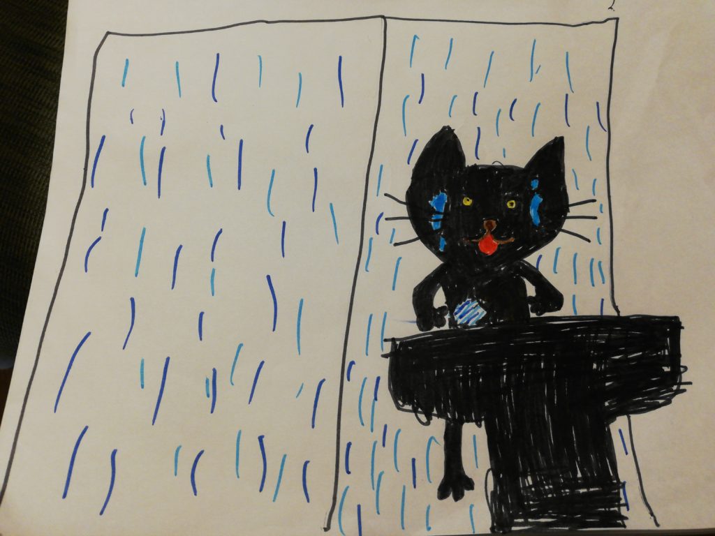 1，黒猫が顔を洗うと雨が降る