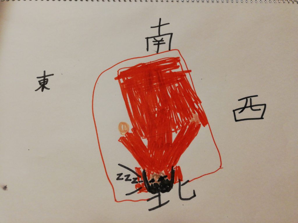 北枕で寝てはいけない