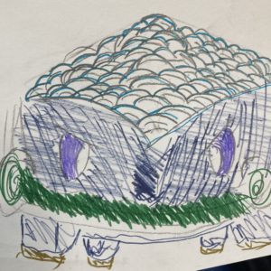 青海波ナエトル