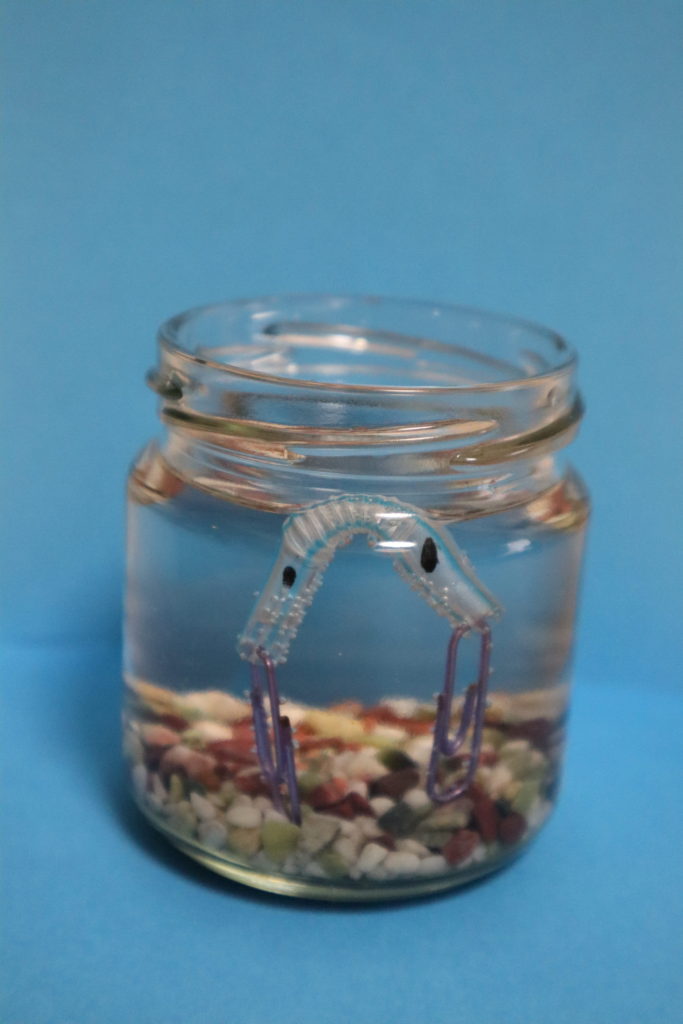 ビンのくらげちゃん ビンのくらげちゃん