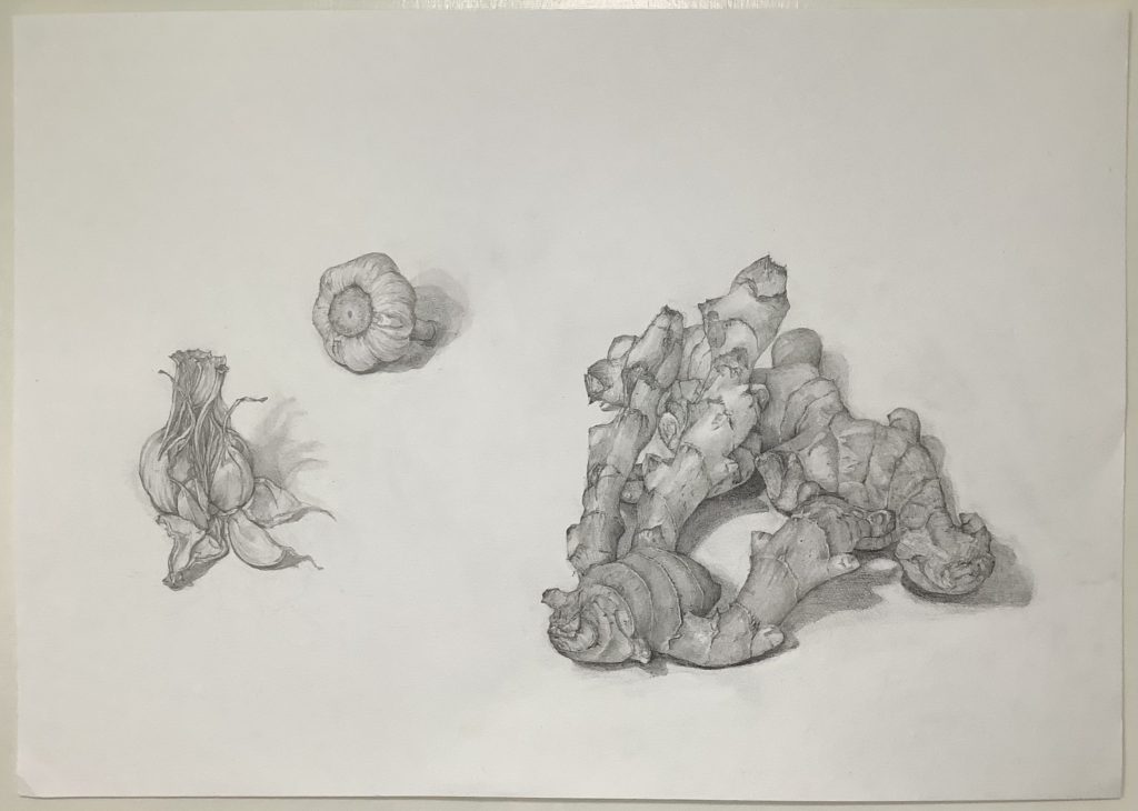 野菜のデッサン（シンショウガとニンニク）