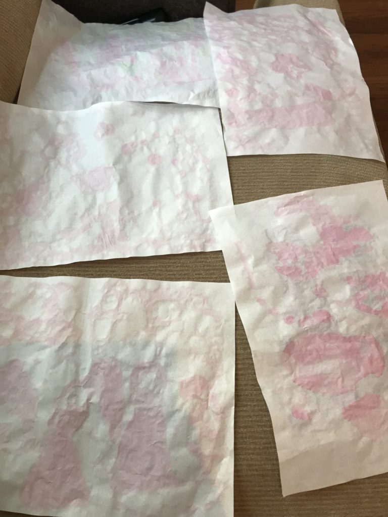 紫キャベツから得られた事