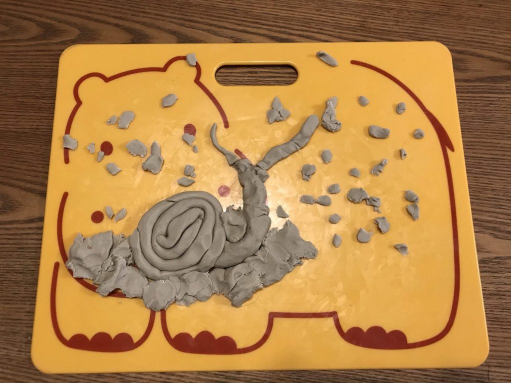 雨の日のかたつむり🐌