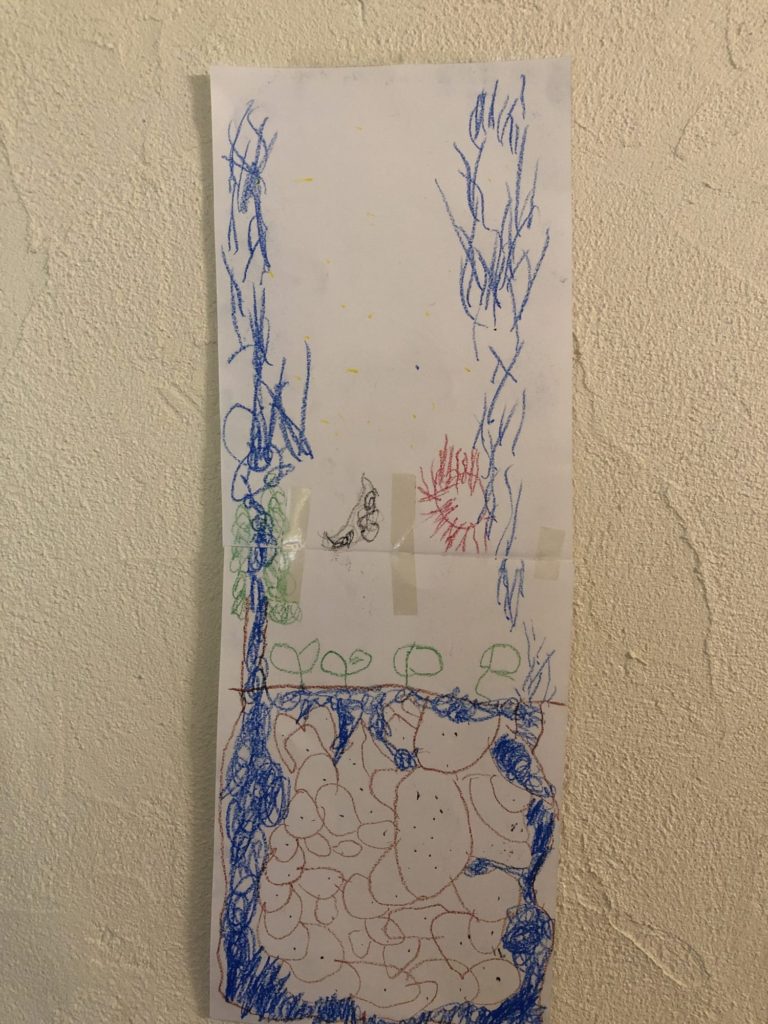 アリの巣からから宇宙に水が噴き出した