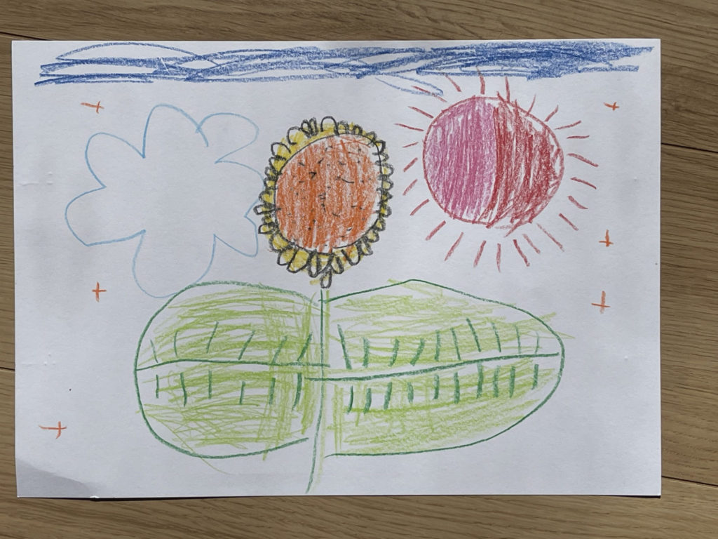 ままのすきな ひまわり