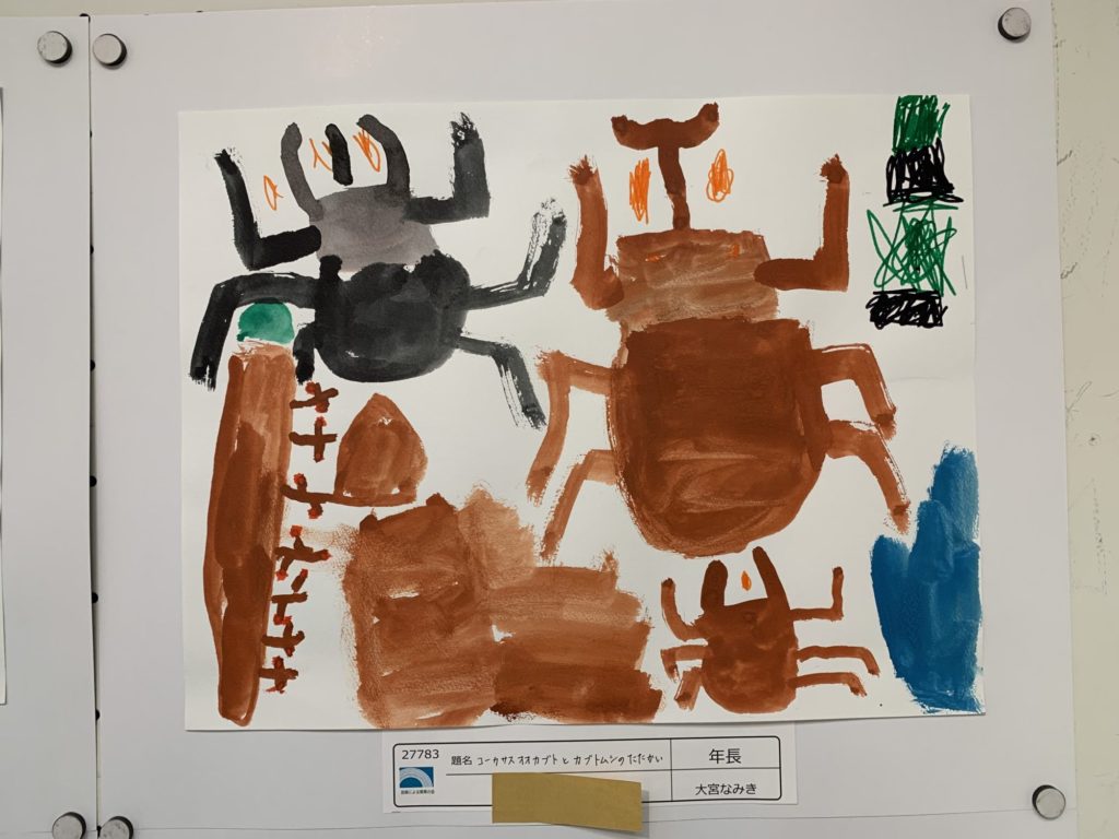 コーカサスオオカブトとカブトムシのたたかい