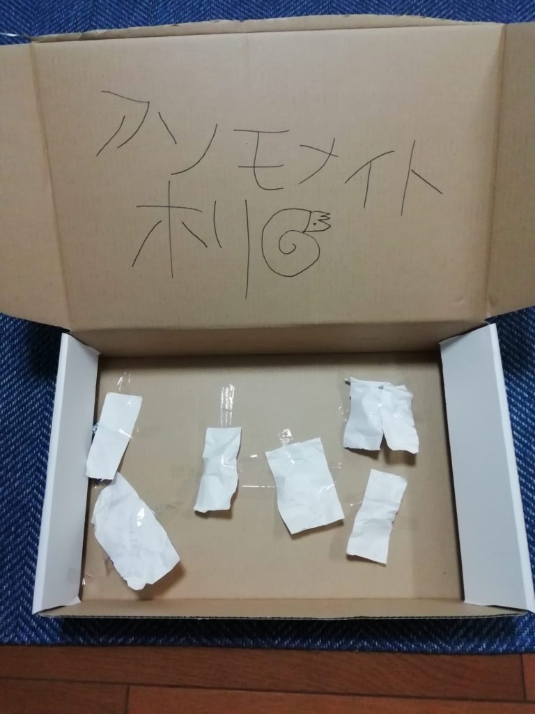 アンモナイト掘り