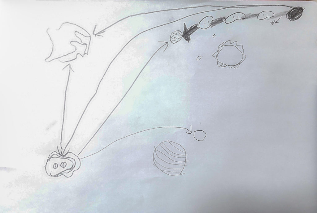 ブタバナの一生