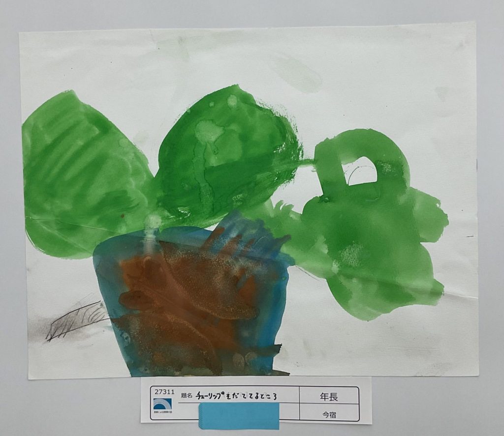 チューリップをそだてるところ