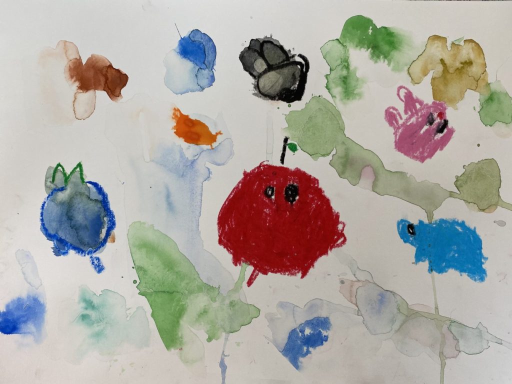 ぽけもんわんだー