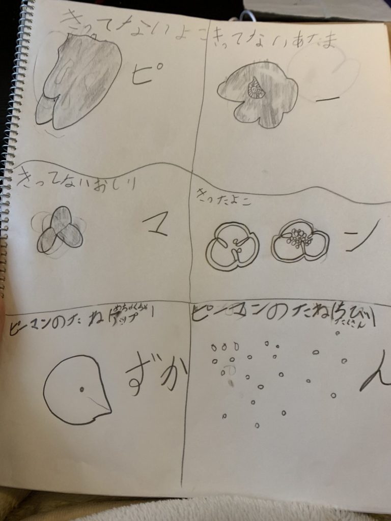 ピーマンずかん