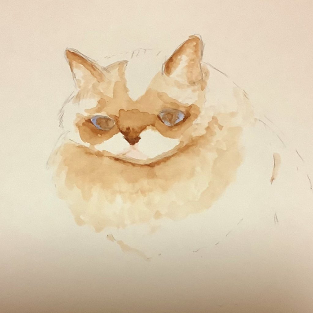 水彩絵具から始めよう！動物画編4/29