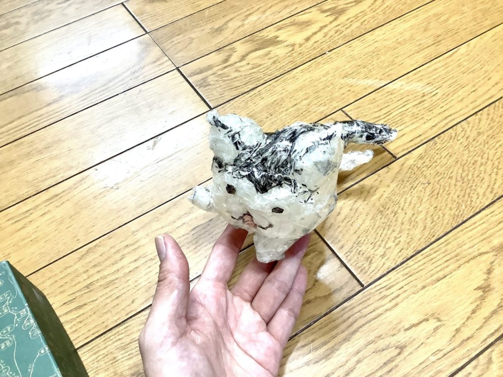 セロハンテープ猫ちゃん(=^x^=)