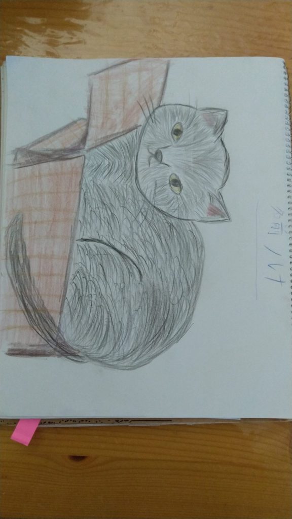 色鉛筆で猫のルナちゃん