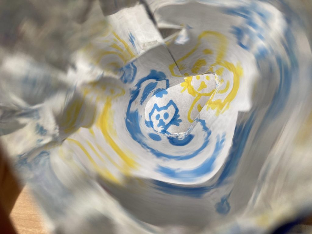 ネコ　3人組をのぞいたよ