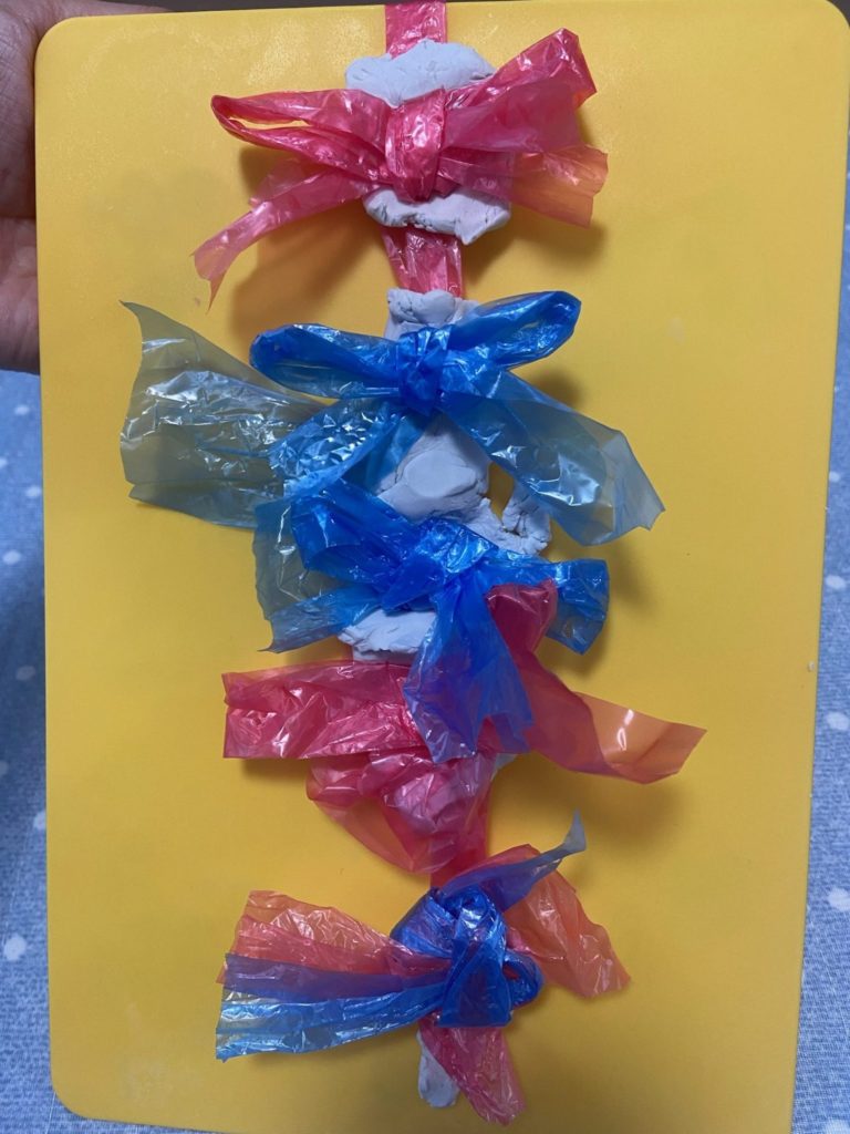 りぼんちゃんのおさんぽ🎀