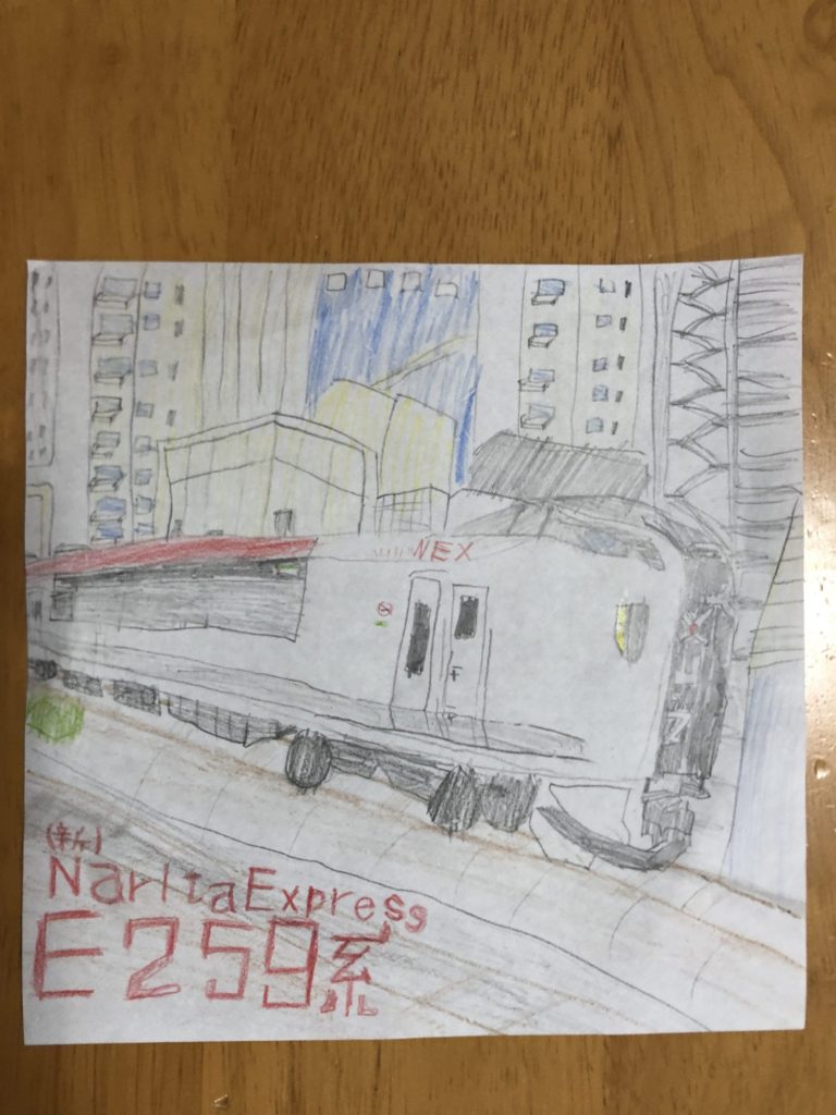 Narita Express E259系（新）