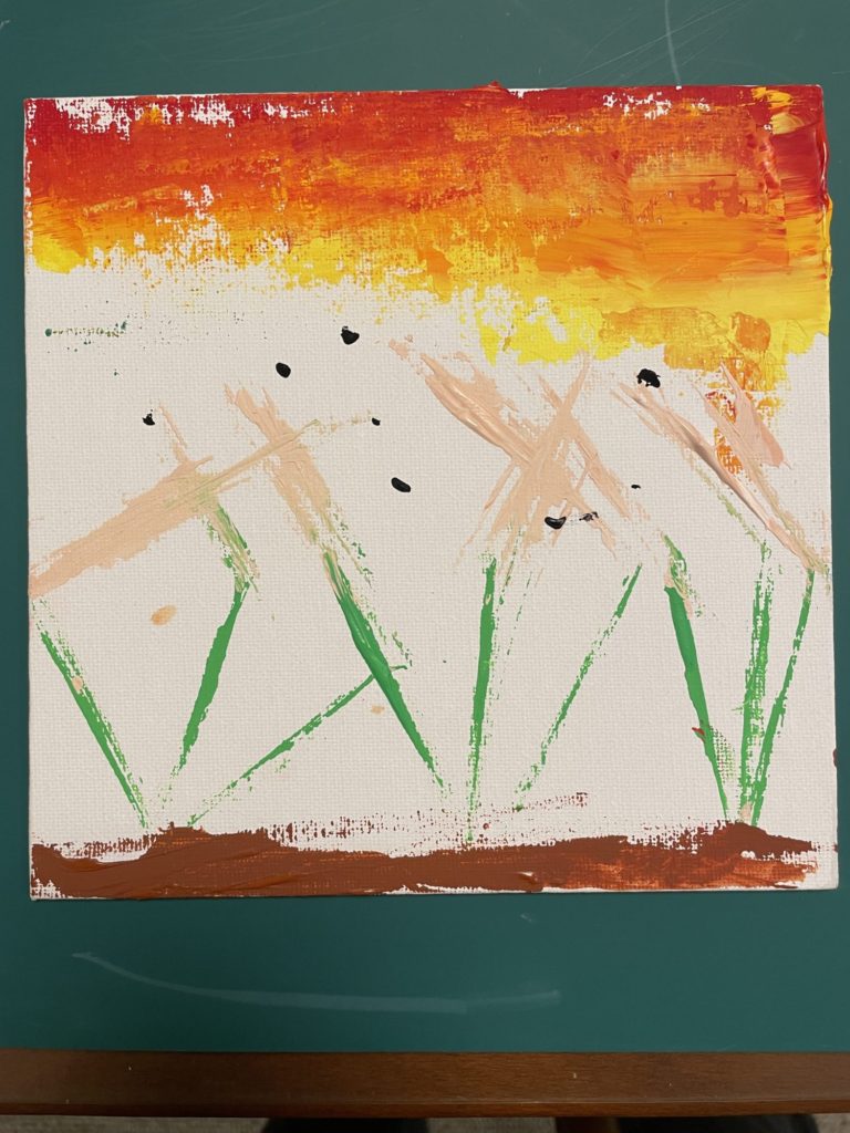 夕焼けのすすき