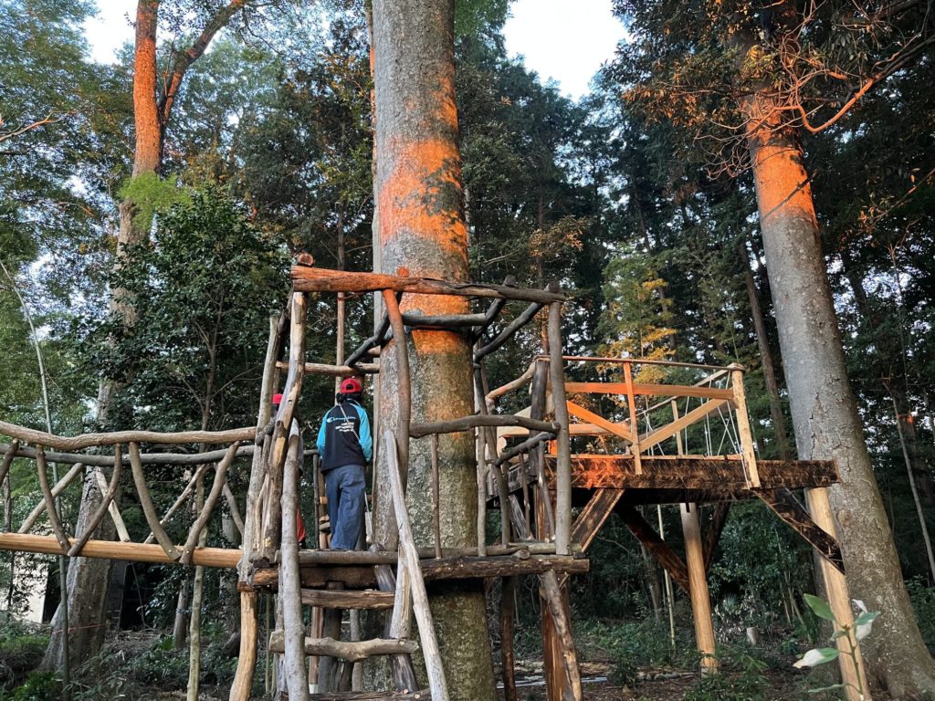 日の出を見たよ