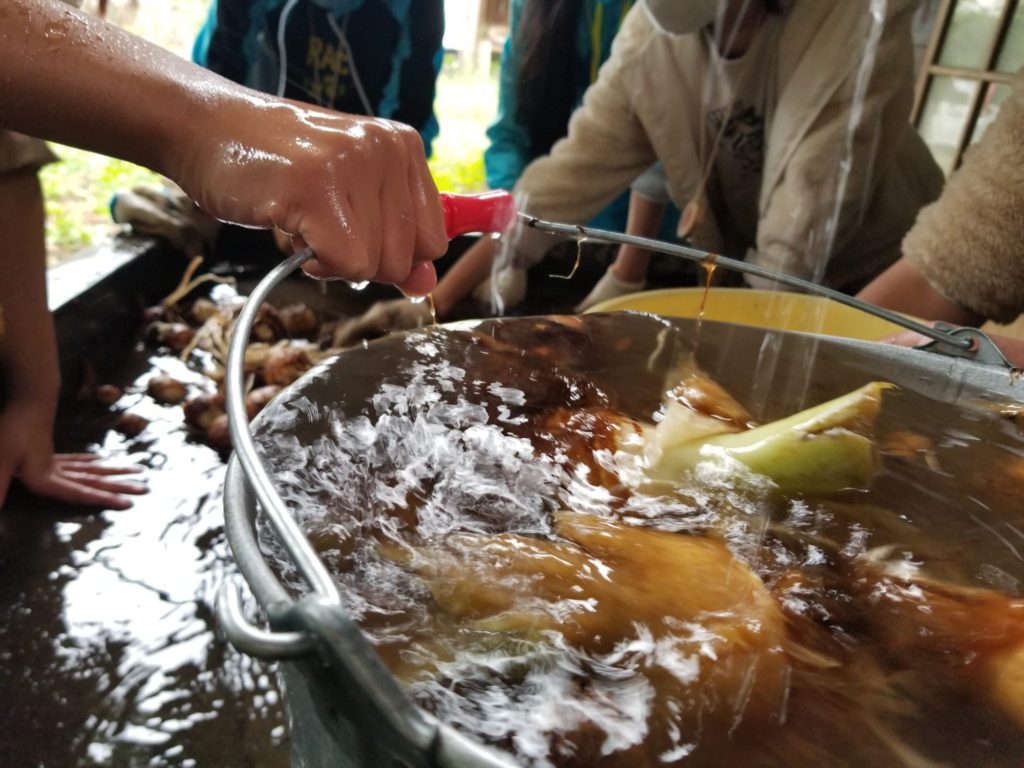 鴻巣アートの森キャンプ思い出