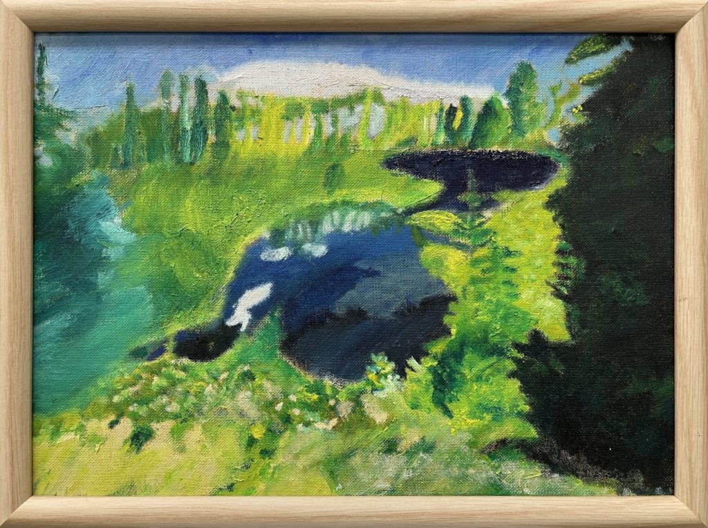 森の中から現れる泉