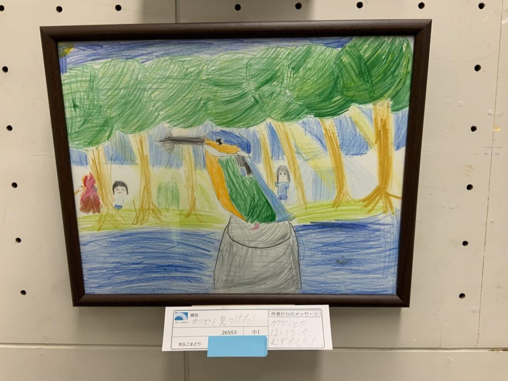 カワセミ見つけた！