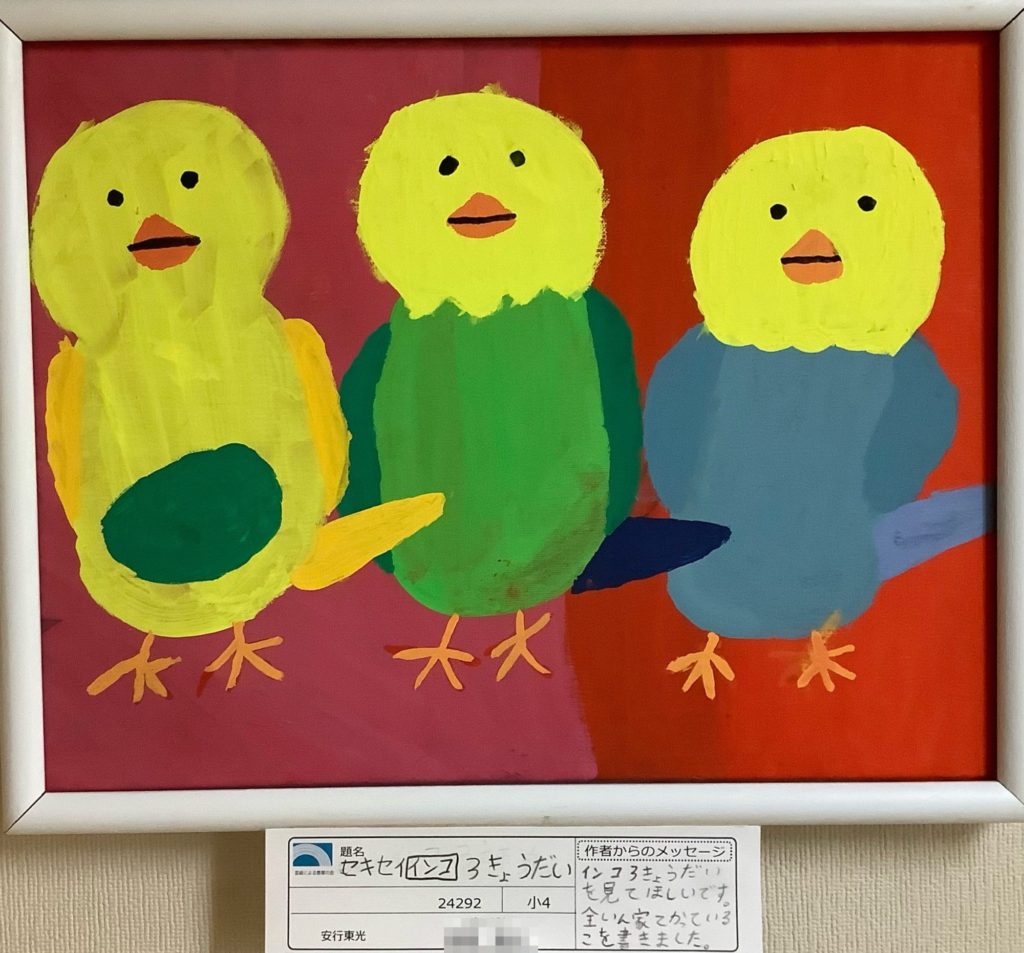 セキセインコ3兄弟