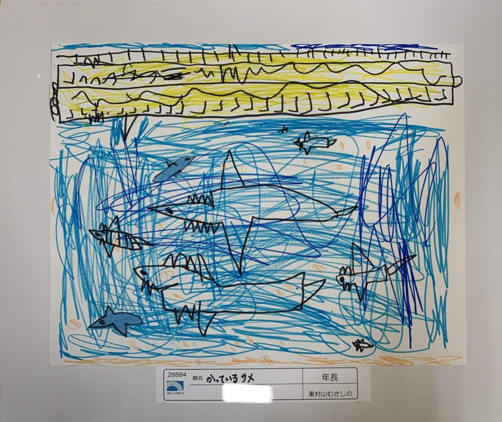 かっているサメ