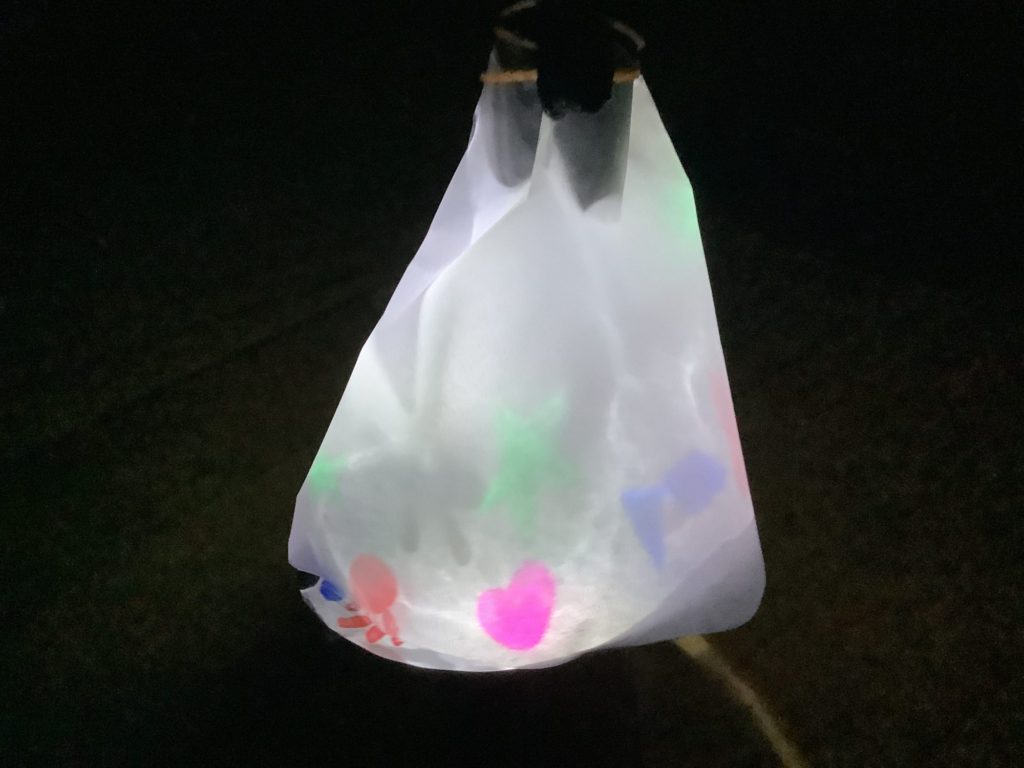 わくわく楽しいお魚の世界