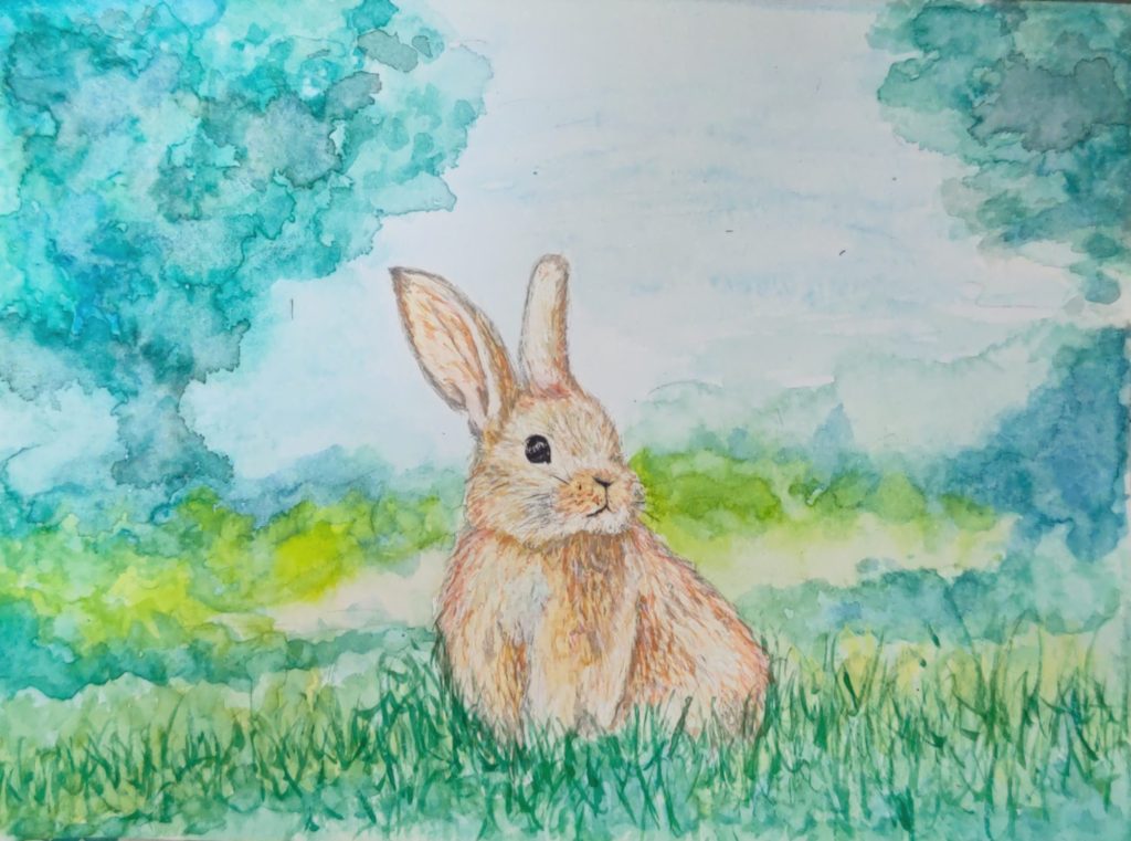ウサギ(母)