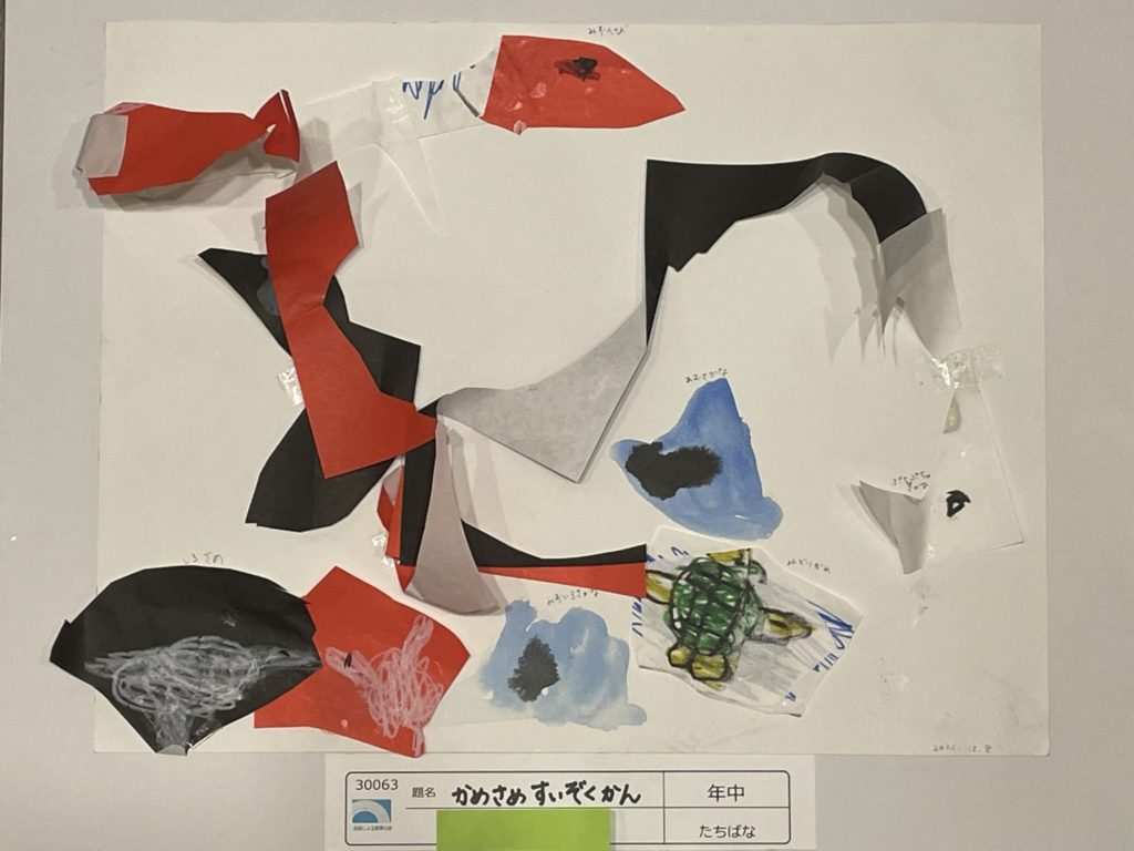 かめさめすいぞくかん