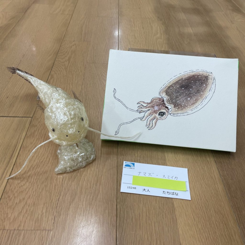 ナマズ・スミイカ